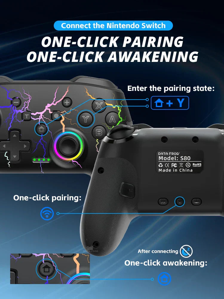 Controller for Nintendo 