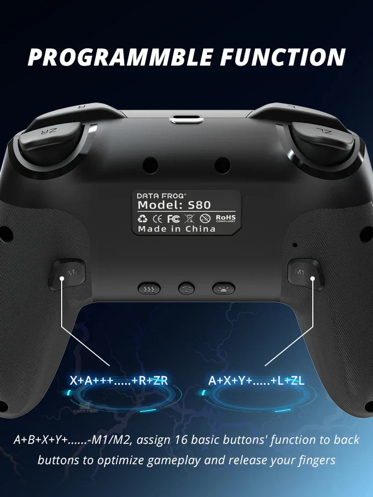 Controller for Nintendo 